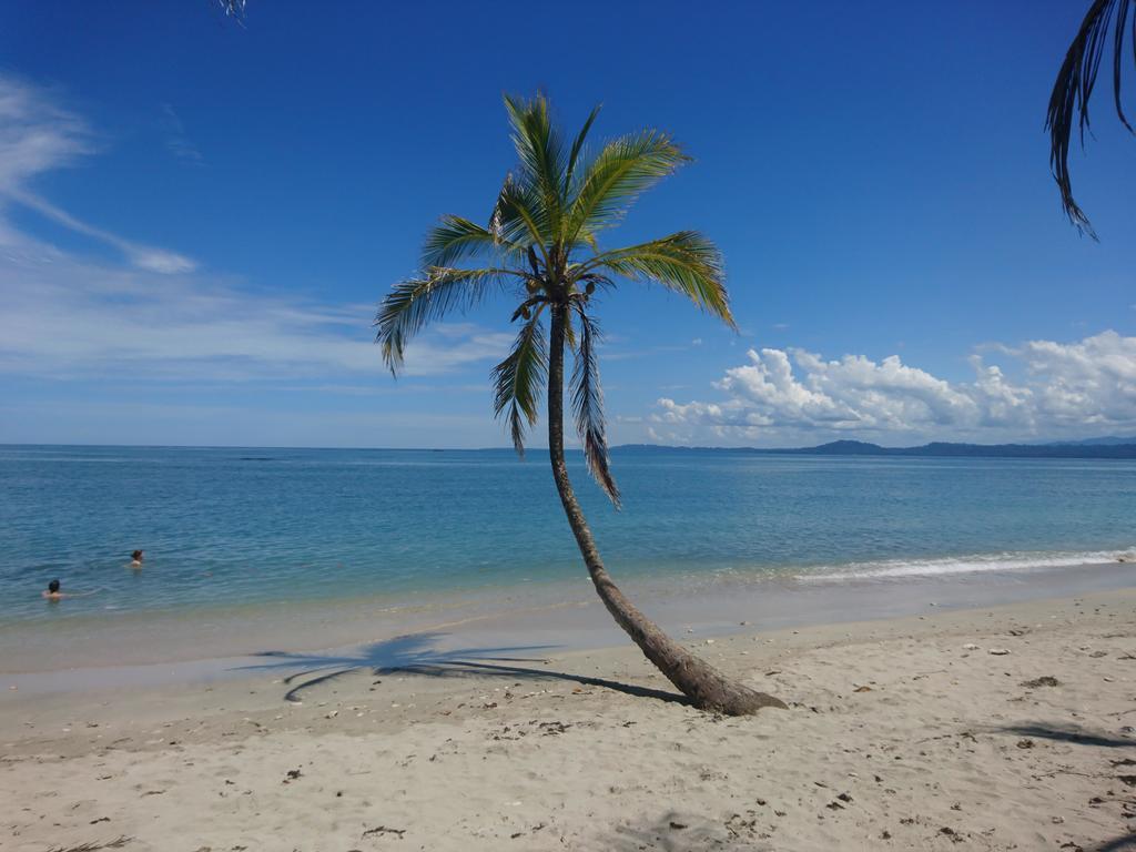 Casa Verde, Cahuita Buitenkant foto